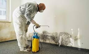 Ontario, OR Mold Remediation Company