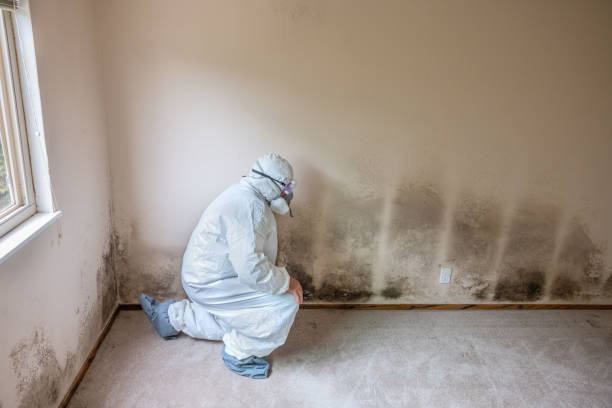 Asbestos and Lead Testing During Mold Inspection in Ontario, OR